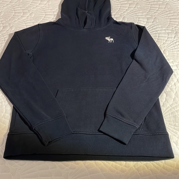 Abercrombie Kids Essential Icon Hoodie - size 13/14 - Picture 9 of 15